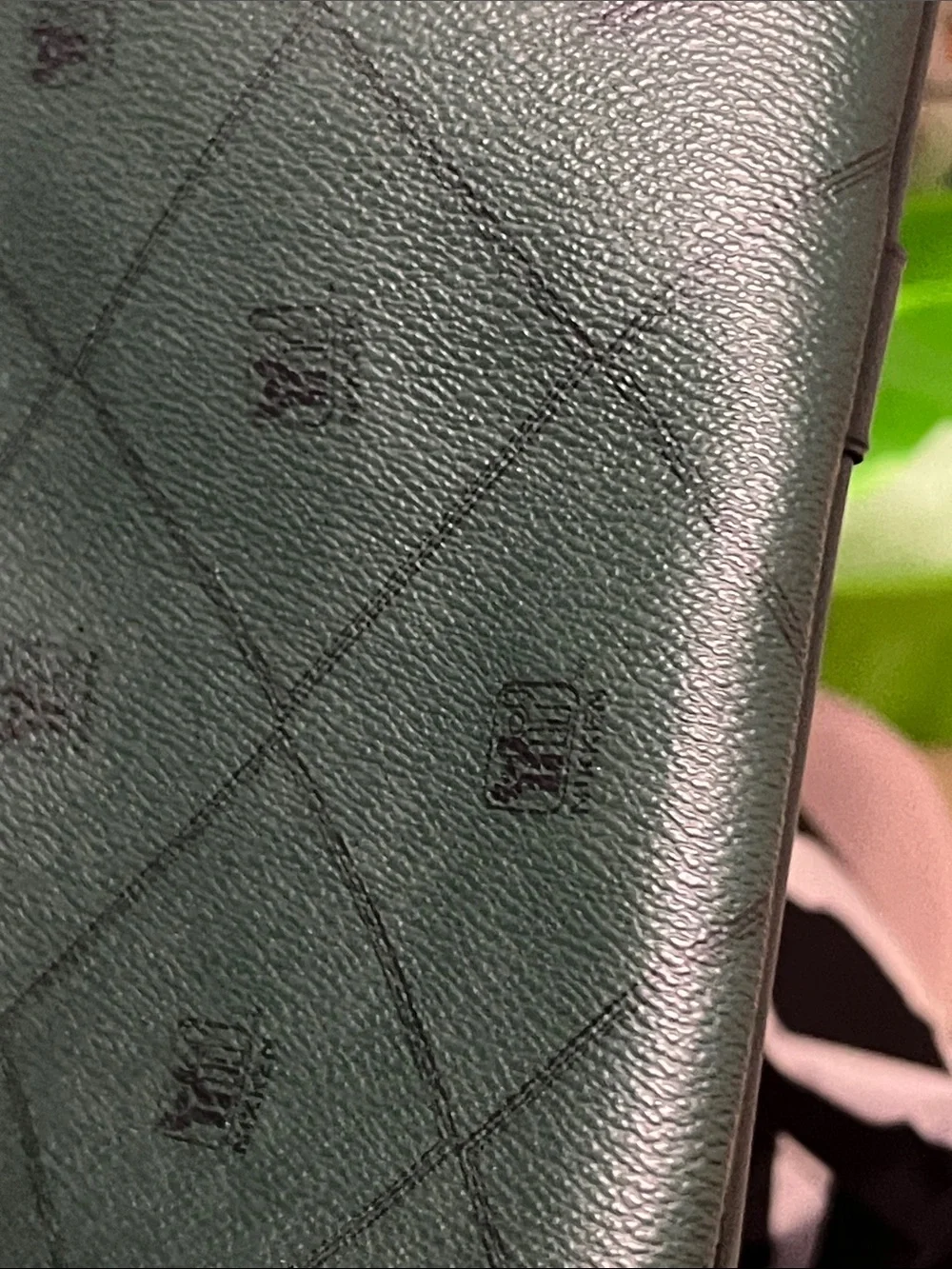 Nikken stylish green